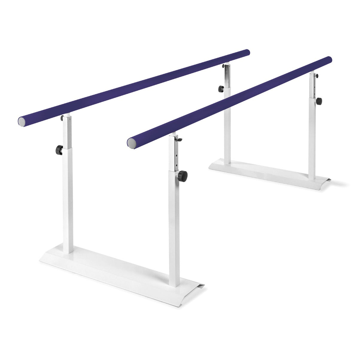 Chinesport Barre Parallele riabilitazione