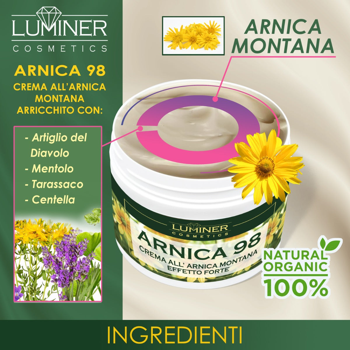 Arnica