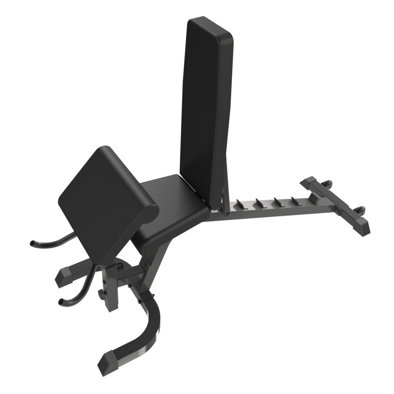 Arm Curl (WBX-220)