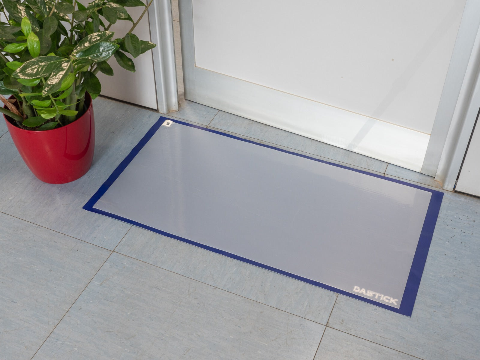 Tappetino Decontaminante Pro