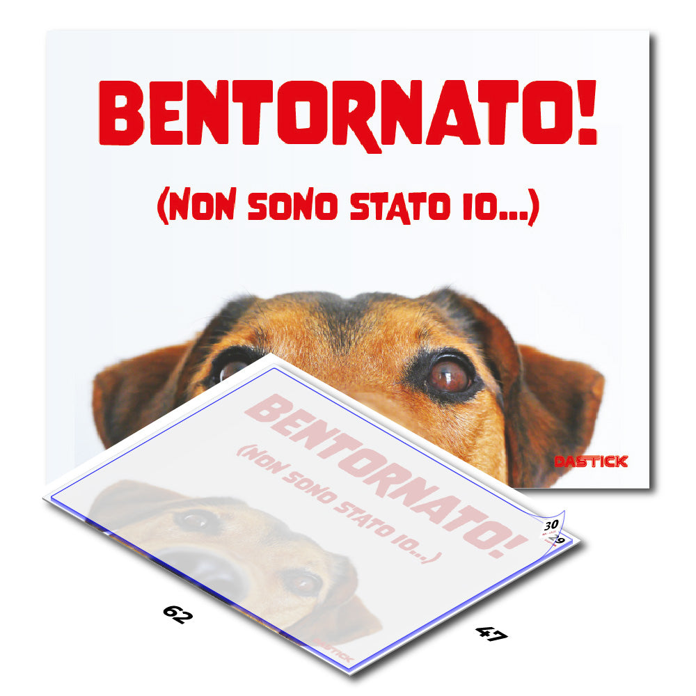 Tappetino Decontaminante