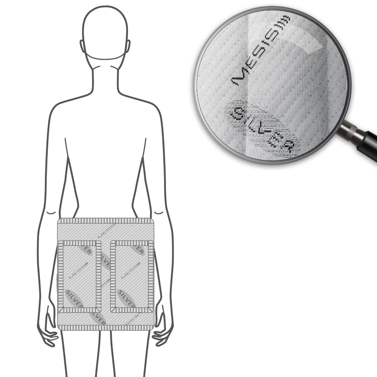 Fascia Glutei