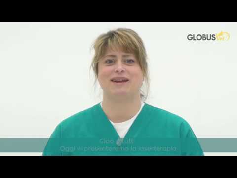 LaserVet 1.0