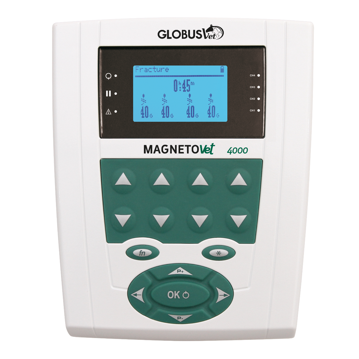 MagnetoVet 4000