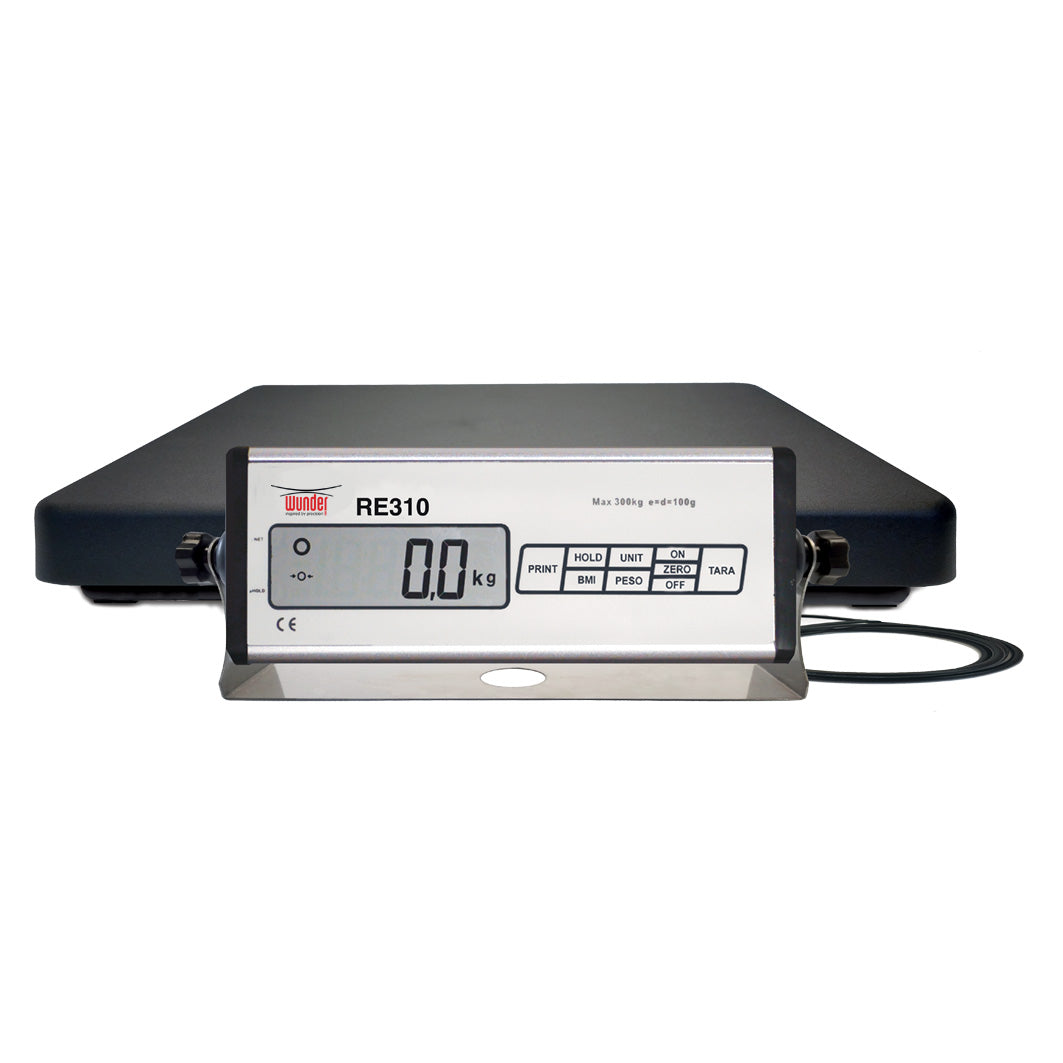 RE310