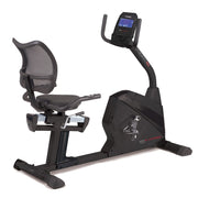 BRX Recumbent 100 ERGO